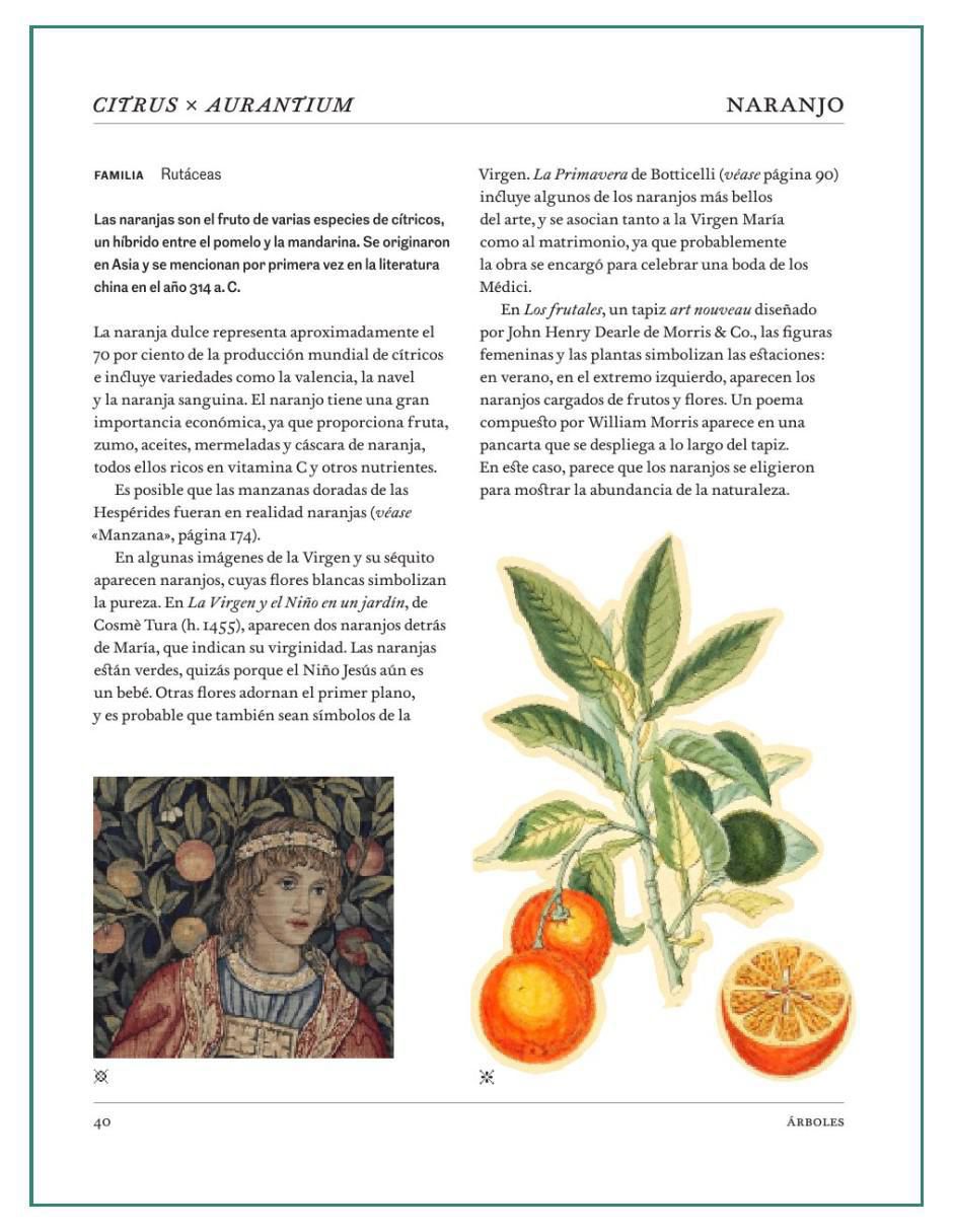 Libro El Lenguaje Secreto De Las Plantas de Hope B. Werness 5