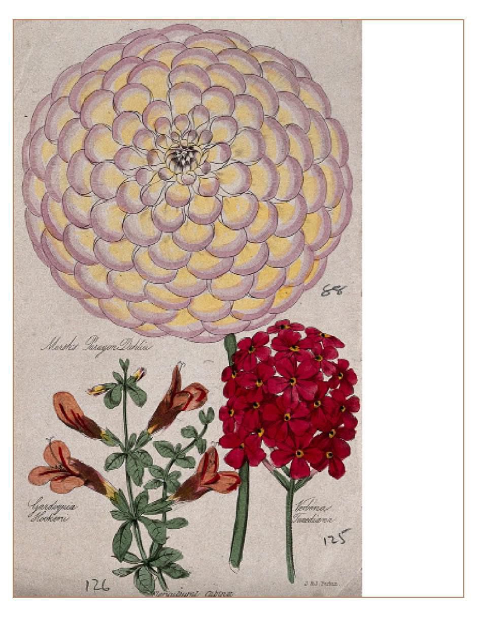 Libro El Arte De La Naturaleza de Varios Autores 4