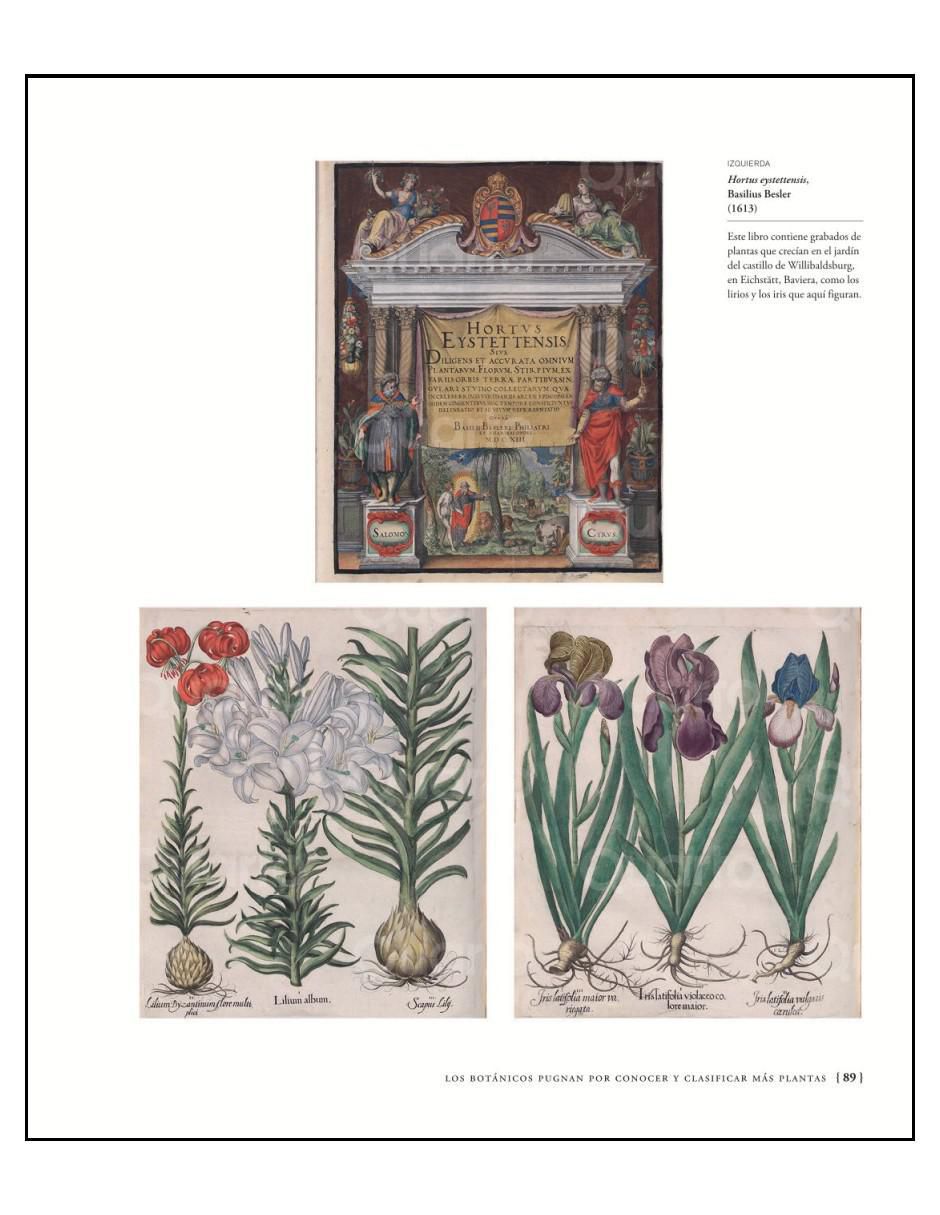 Libro La Biblioteca Del Botánico de Carolyn Fry Y Emma Wayland 5