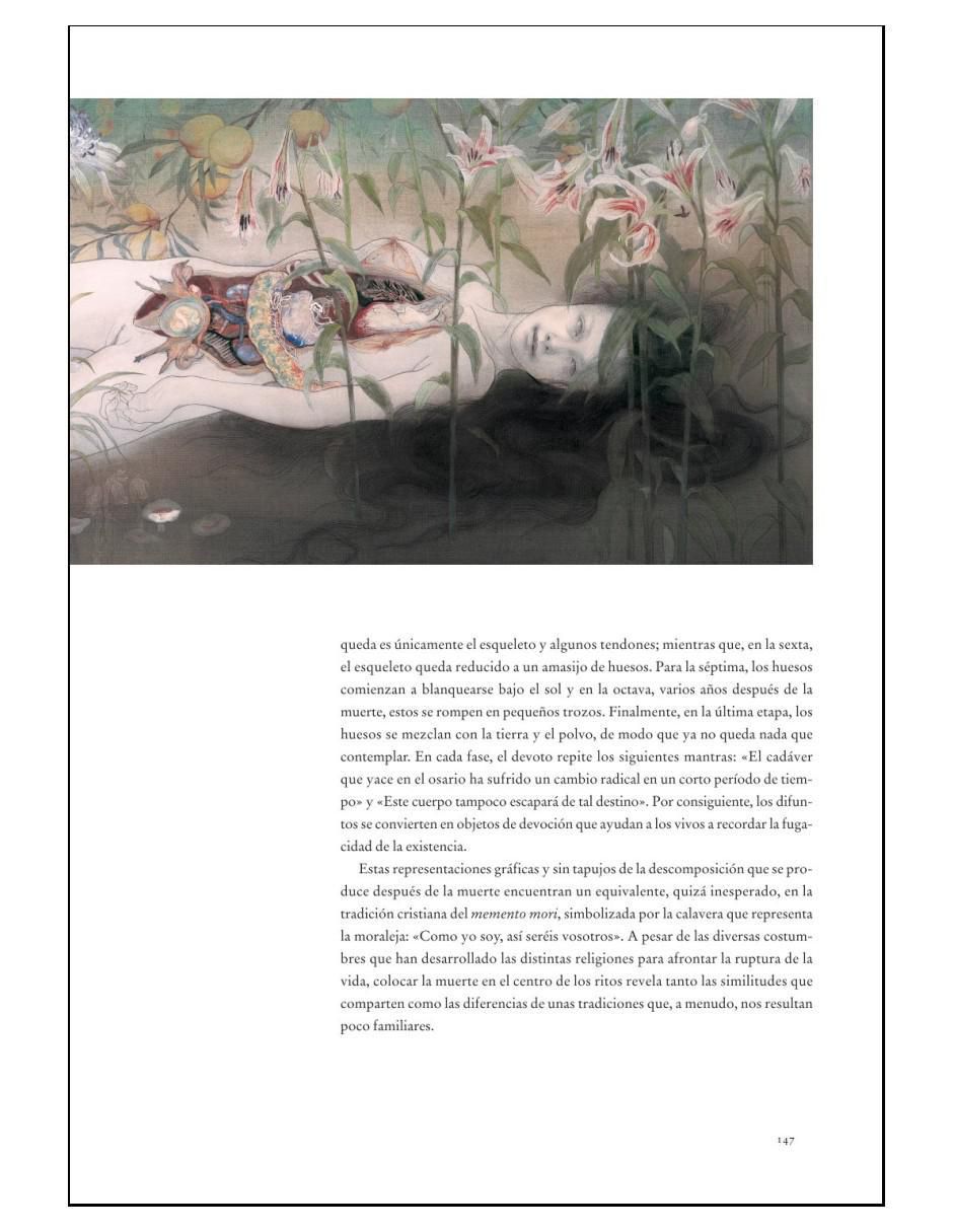 Libro Cementerios, Tumbas Y Sepulturas de Roger Luckhurst 5
