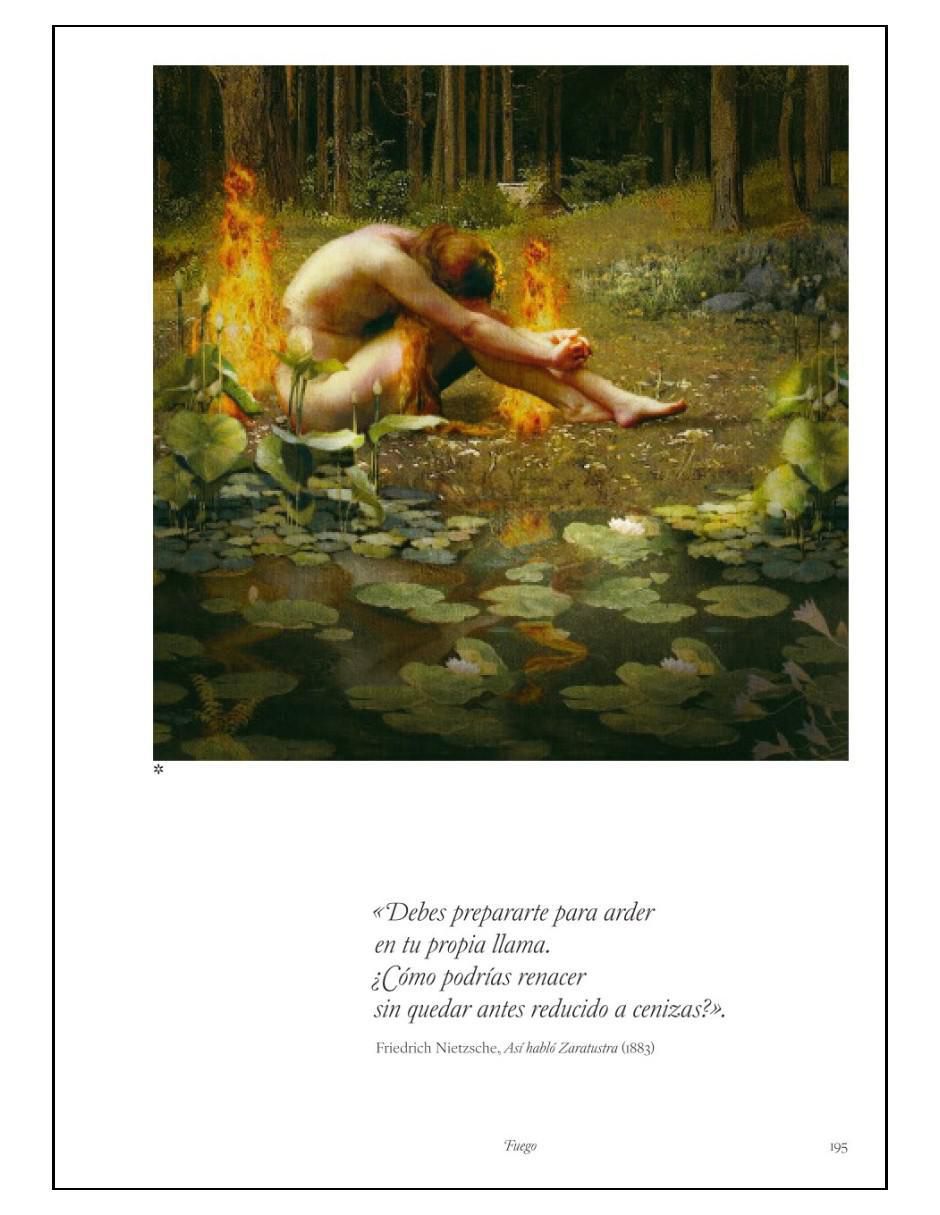Libro Elementos - Caos, Orden Y Las Cinco Fuerzas Elementales de Stephen Ellcock 5