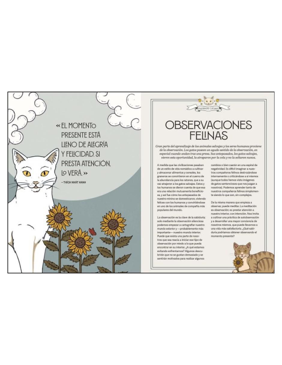 Libro Gatos y Meditación de Oula Valerie 2