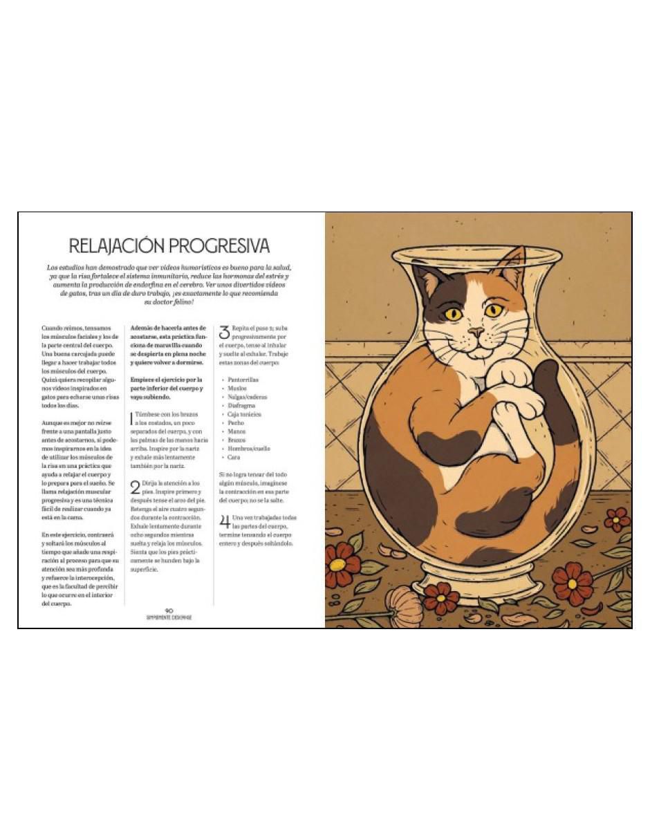 Libro Gatos y Meditación de Oula Valerie 3