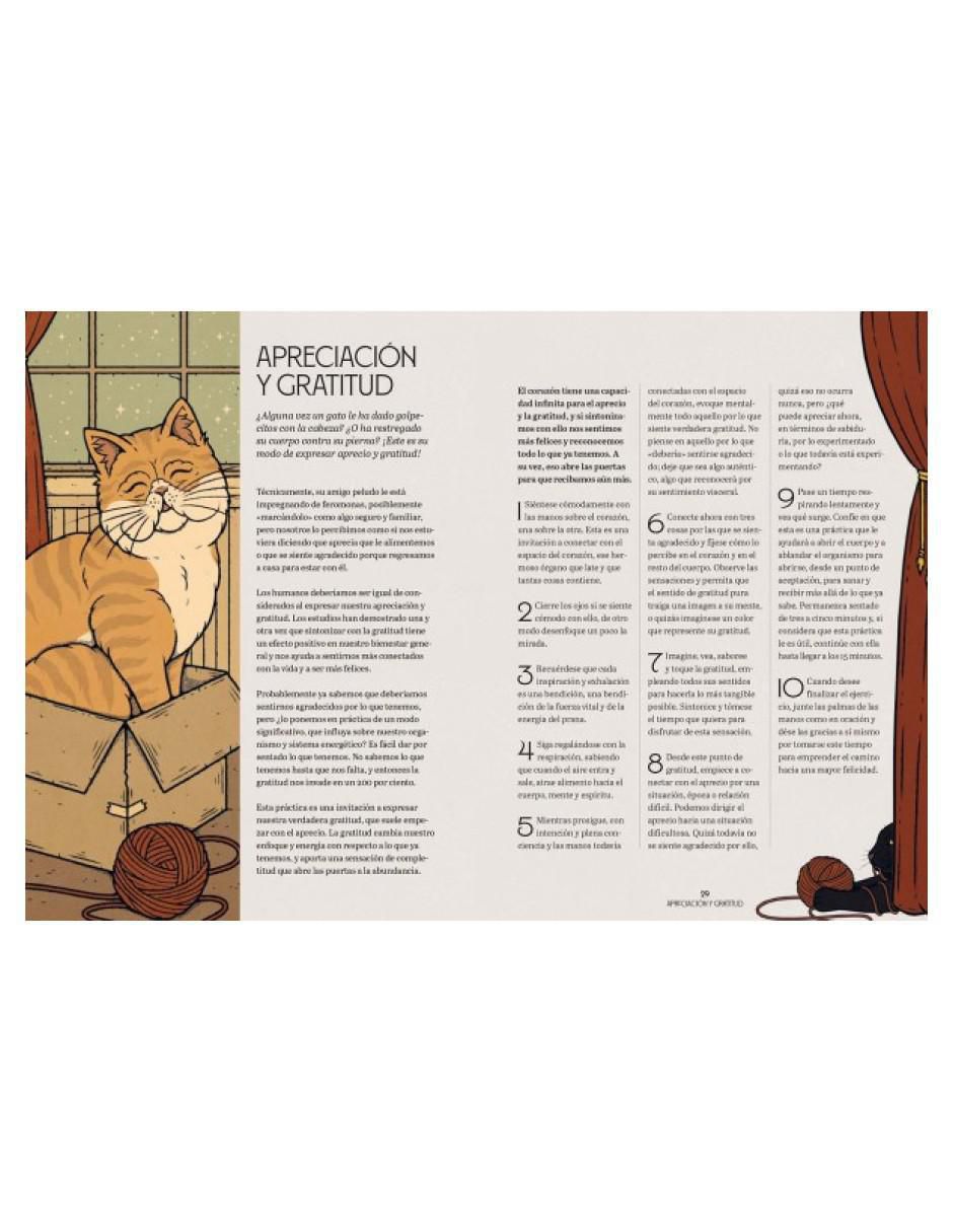 Libro Gatos y Meditación de Oula Valerie 4