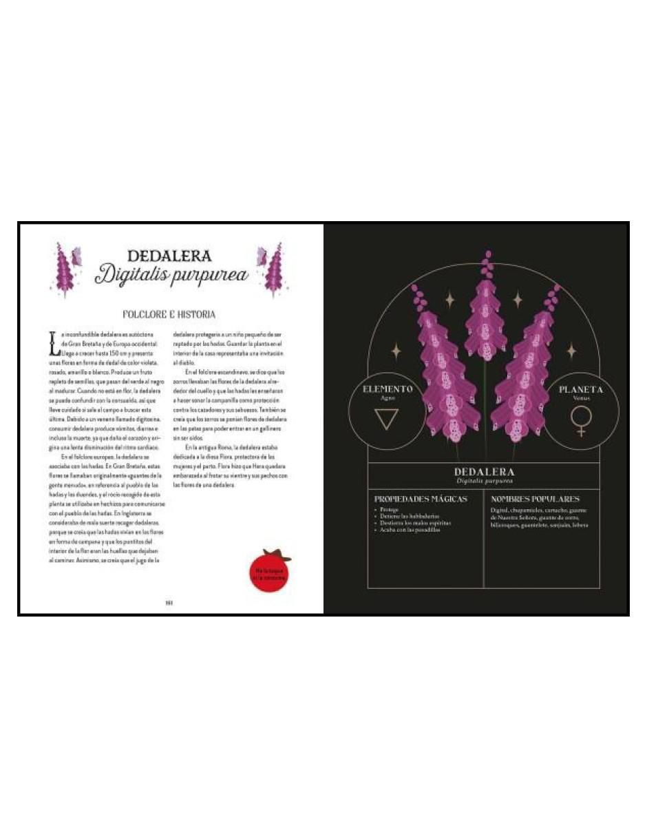 Libro Magia Tradicional. Guía Bruja Del Bosque de Squire Lindsay 2