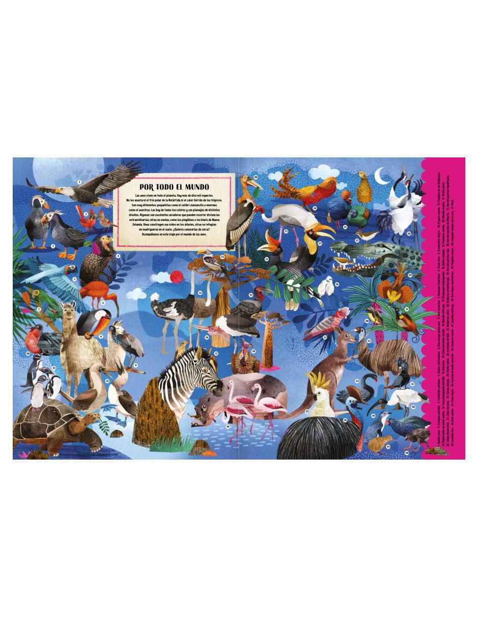 Libro El de Los Pájaros de Asia Gwis 2