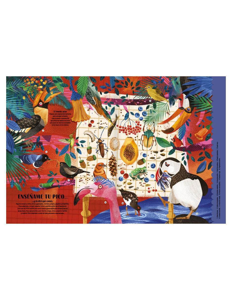 Libro El de Los Pájaros de Asia Gwis 3