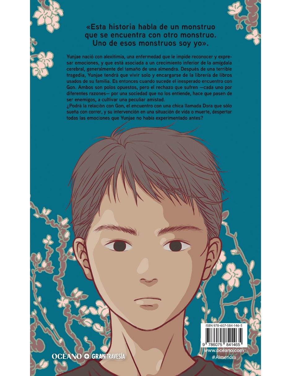 Libro Almendra (Edición Especial) de Wonpyung Sohn 2