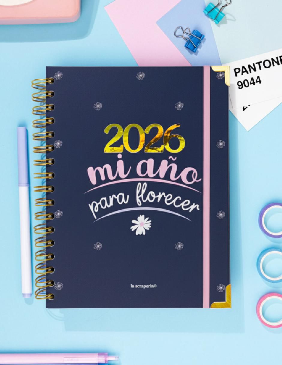 Agenda agenda 2026 2