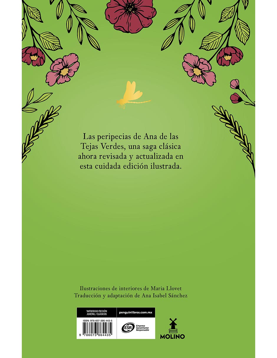 Libro Ana de las tejas verdes 2 - Una amistad para siempre de Lucy Maud Montgomery 2