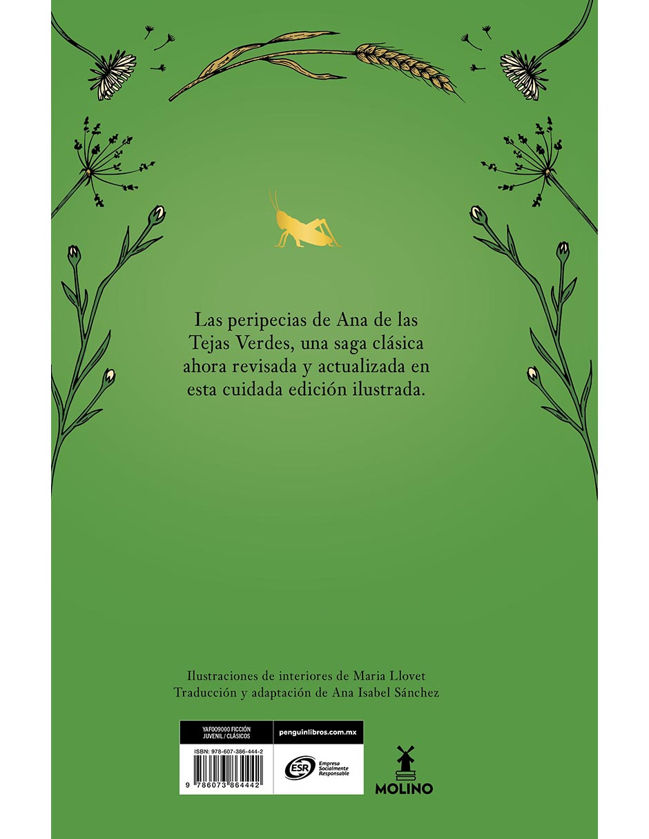 Libro Ana de las tejas verdes 3 - La maestra de Avonlea de Lucy Maud Montgomery 2