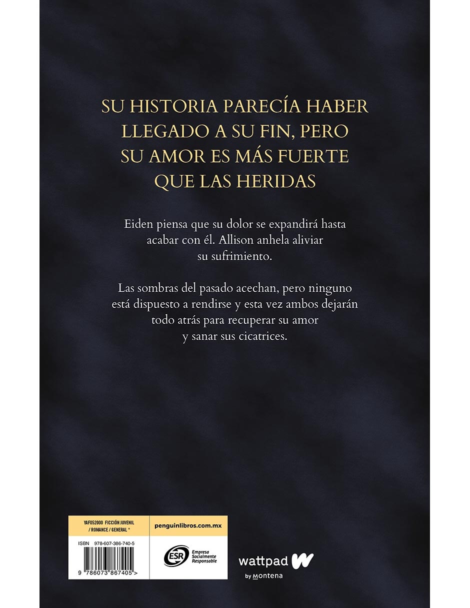 Libro Cicatrices 2 de Litzy Reynoso 2