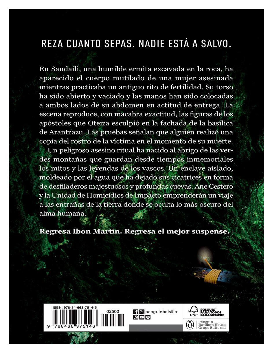 Libro El Ladrón De Rostros (Inspectora Ane Cestero 3) de Ibon Martín 2