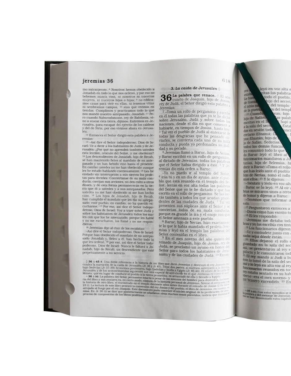 Libro La biblia católica de Origen 4
