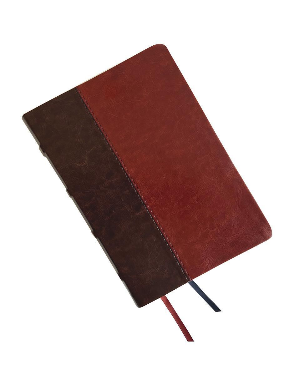 Libro RVR 1960 Biblia de estudio Dake, tamaño grande, piel duotono marrón de Reina Valera 2