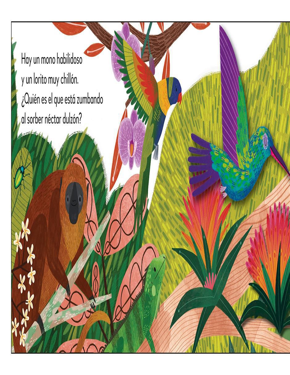 Libro La Selva Tropical de Dk 4