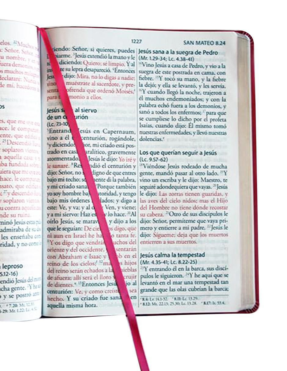 Libro Biblia de Reina Valera Revisada 1960 2