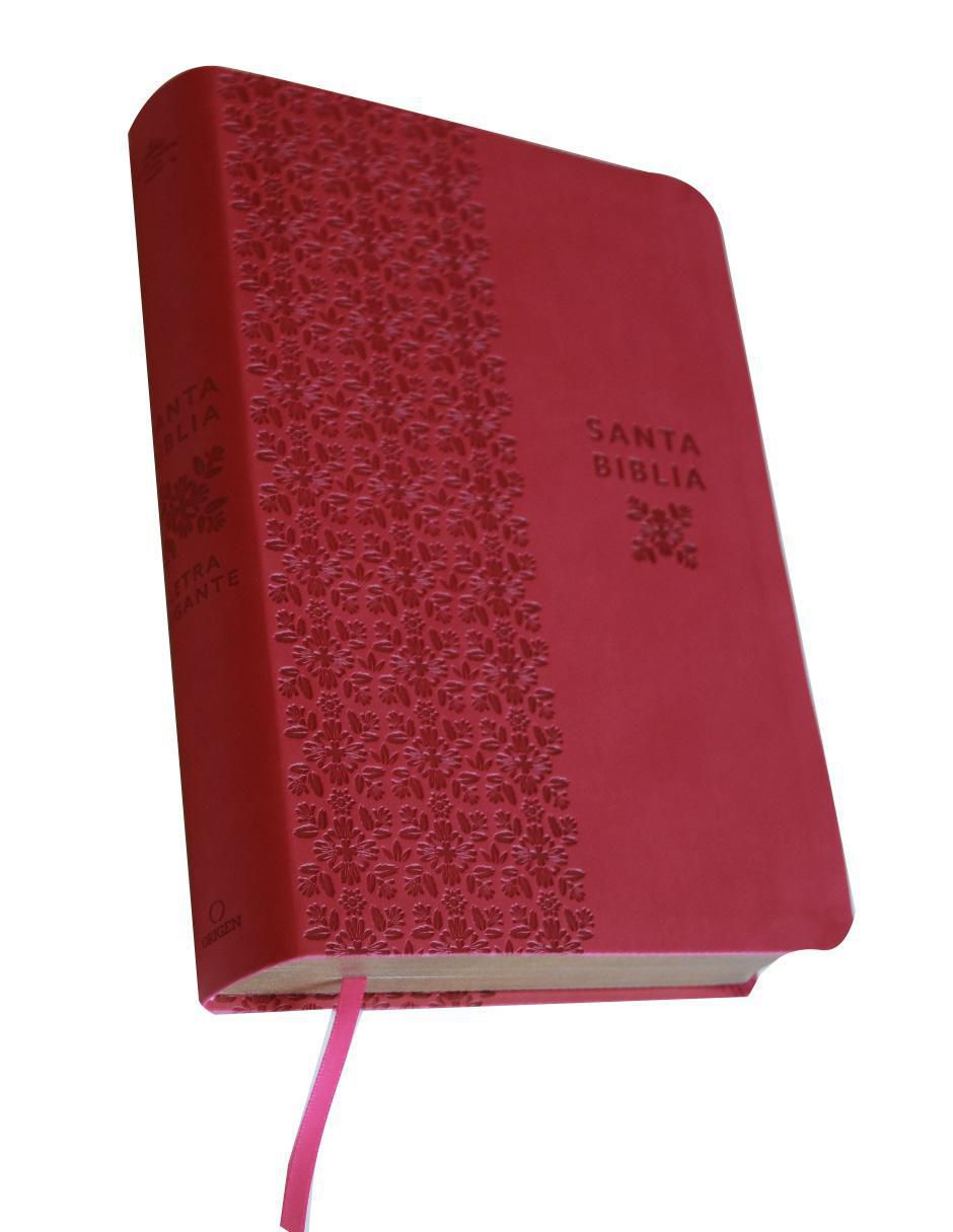 Libro Biblia de Reina Valera Revisada 1960 4