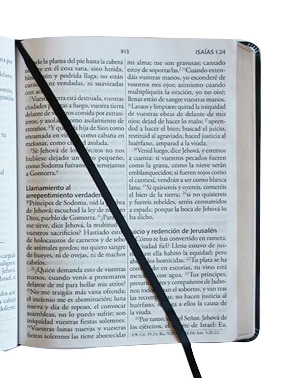 Libro Biblia de Reina Valera Revisada 1960 2