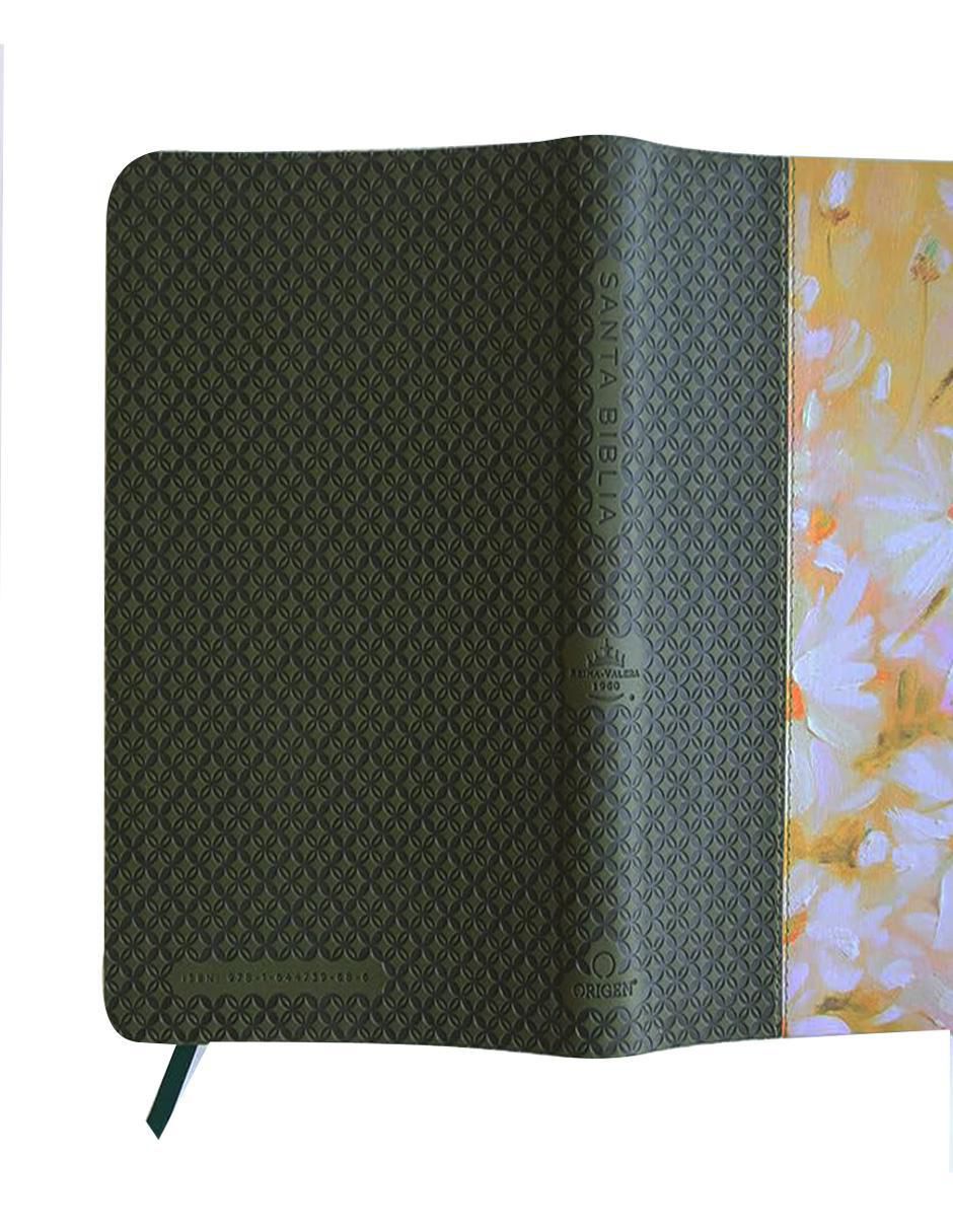 Biblia Reina Valera 1960 3
