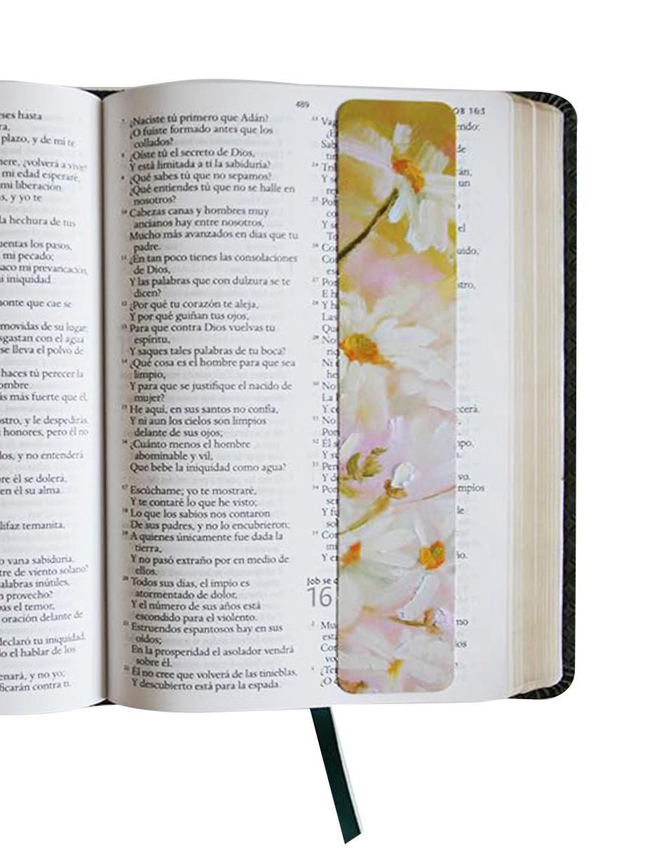 Biblia Reina Valera 1960 4