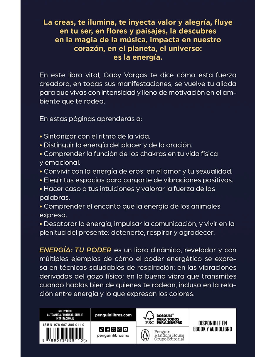 Libro Energía: tu poder de Gaby Vargas 2