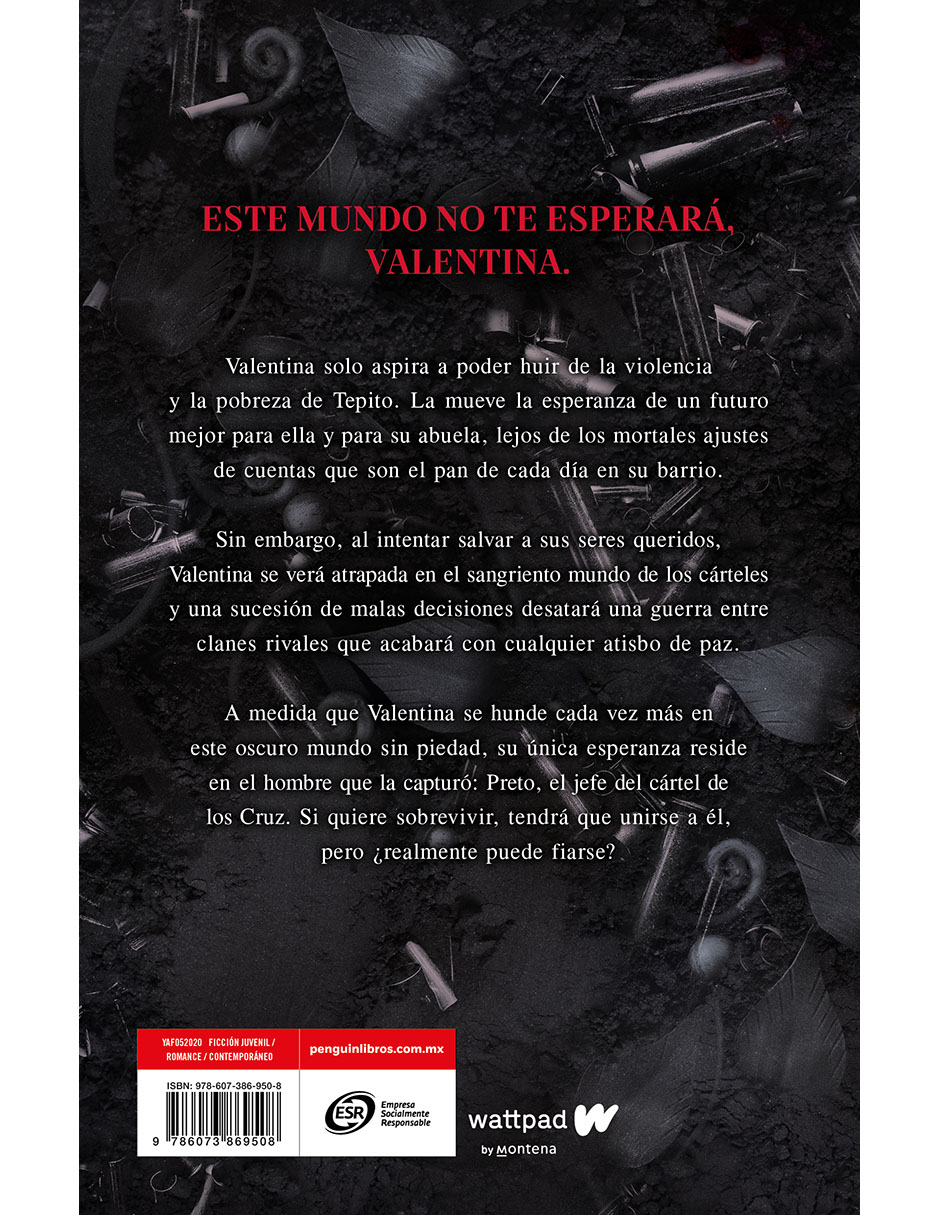 Libro Valentina de Azra Reed 2